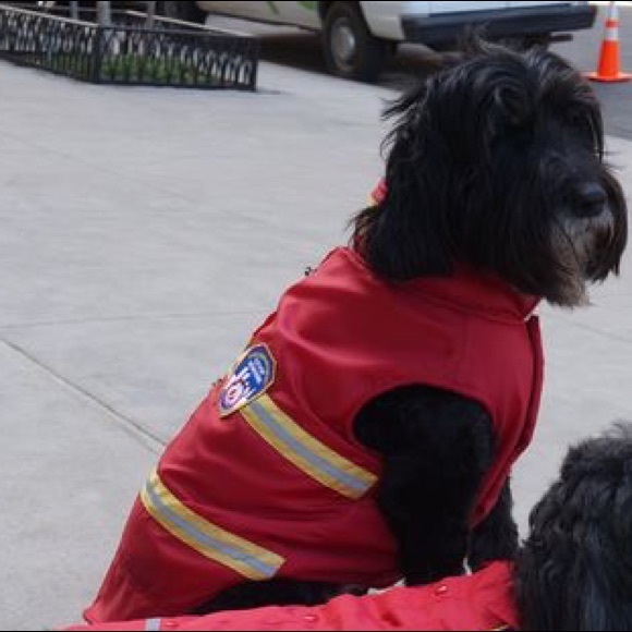 Royal Animals FDNY Reflective Dog Coat 🐶🐾🚒🚨 - Picture 5 of 7